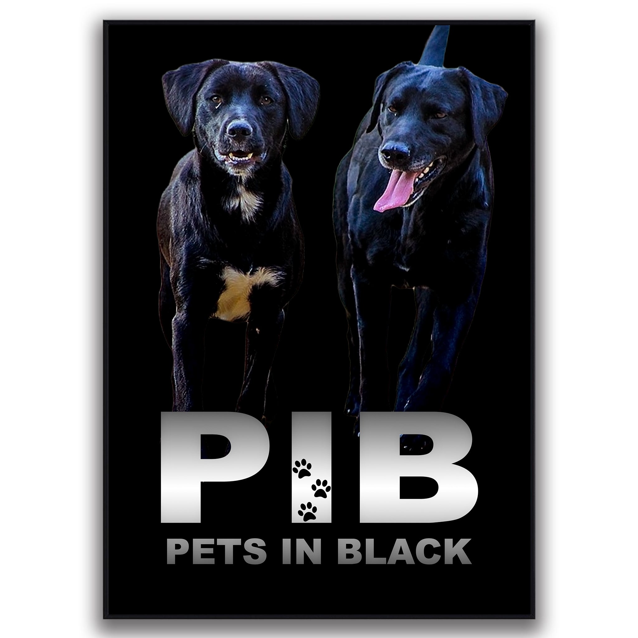 The PIB Pets In Black Custom Pet Pawtrait